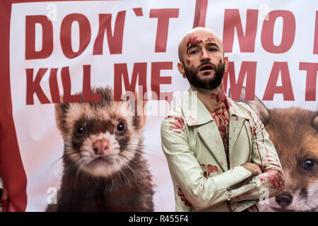 Madrid, Espagne, 25 novembre 2018.de pro-activiste animal animal rights group 'Gladiadores por la paz" (pour la paix) gladiateurs couverts de faux sang d'effectuer une manifestation sous le slogan 'Catwalk de la souffrance", pour protester contre l'utilisation de peaux d'animaux dans l'industrie de la fourrure. Credit : Marcos del Mazo/Alamy Live News Banque D'Images