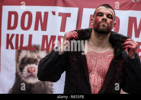 Madrid, Espagne, 25 novembre 2018.de pro-activiste animal animal rights group 'Gladiadores por la paz" (pour la paix) gladiateurs couverts de faux sang d'effectuer une manifestation sous le slogan 'Catwalk de la souffrance", pour protester contre l'utilisation de peaux d'animaux dans l'industrie de la fourrure. Credit : Marcos del Mazo/Alamy Live News Banque D'Images