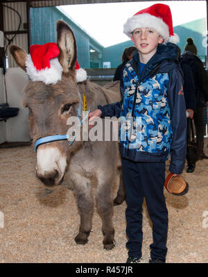 Liscarroll, Cork, Irlande. 25-11-2018. Evan Walsh de Mourneabbey avec un âne à l'artisanat de Noël annuelle et salon de l'alimentation tenue à l'Donkey Sanctuary, Liscarroll, Espagne Crédit : David Creedon/Alamy Live News Banque D'Images