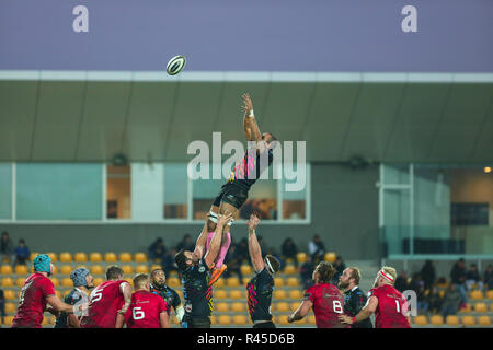 Parme, Italie. 25 novembre, 2018. Zebre's flanker Maxime Mbandà prend la balle en contact lors du match contre le Munster en 9e ronde de Guinness14 2019 PRO 2018©Massimiliano Carnabuci/Alamy live news Banque D'Images