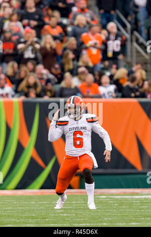 Cincinnati, OH, USA. 25Th Nov, 2018. Le quart-arrière des Cleveland Browns Baker Mayfield (6) réagit après les résultats d'un examen officiel dans un match entre les Cleveland Browns et les Bengals de Cincinnati le 25 novembre 2018 au Stade Paul Brown à Cincinnati, OH. Adam Lacy/CSM/Alamy Live News Banque D'Images