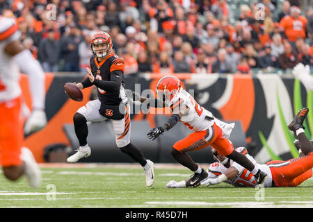 Cincinnati, OH, USA. 25Th Nov, 2018. Cincinnati Bengals quarterback Jeff Driskel (6) brouille avec la balle dans un match entre les Cleveland Browns et les Bengals de Cincinnati le 25 novembre 2018 au Stade Paul Brown à Cincinnati, OH. Adam Lacy/CSM/Alamy Live News Banque D'Images