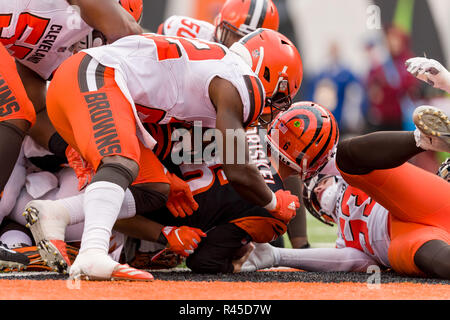 Cincinnati, OH, USA. 25Th Nov, 2018. Cincinnati Bengals quarterback Jeff Driskel (6) Les poinçons L'ball dans pour un toucher des roues dans un match entre les Cleveland Browns et les Bengals de Cincinnati le 25 novembre 2018 au Stade Paul Brown à Cincinnati, OH. Adam Lacy/CSM/Alamy Live News Banque D'Images