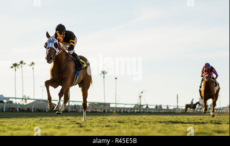 Del Mar, CA, USA. 25Th Nov, 2018. 25 novembre 2018 : Flying Scotsman avec Flavien Prat à bord remporte la Cecil B Demille Stakes à Del Mar, le 25 novembre 2018 à Del Mar, en Californie. Evers/Eclipse Sportswire/CSM/Alamy Live News Banque D'Images