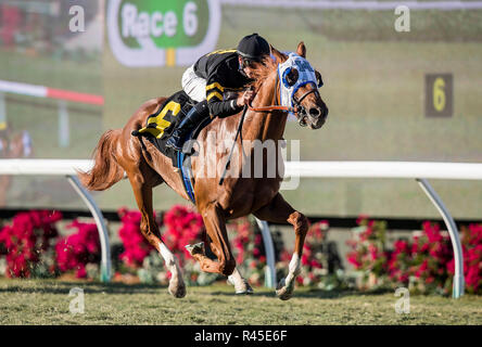 Del Mar, CA, USA. 25Th Nov, 2018. 25 novembre 2018 : Flying Scotsman avec Flavien Prat à bord remporte la Cecil B Demille Stakes à Del Mar, le 25 novembre 2018 à Del Mar, en Californie. Evers/Eclipse Sportswire/CSM/Alamy Live News Banque D'Images