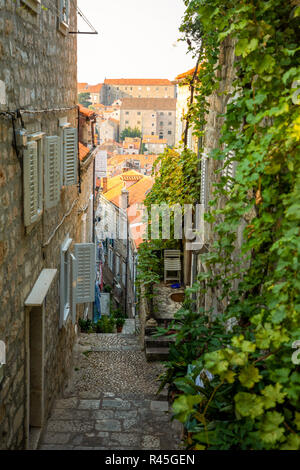 Ruelle médiévale dans la vieille ville de Dubrovnik, Croatie Banque D'Images