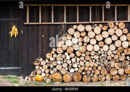 Pile de gros tas de bois de sciage haché préparé pour l'hiver au mur de la grange en bois vintage avec toit en ardoise, échelle et épis de maïs papillotes sur t0 Banque D'Images