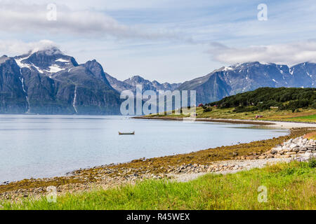 Paysage typiquement scandinave avec la salicaire le long d'un lac et d'un glacier dans l'arrière-plan Banque D'Images