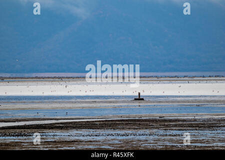 Vue éloignée à Kerkini Lake dans le Nord de la Grèce au cours d'une froide journée d'hiver Banque D'Images