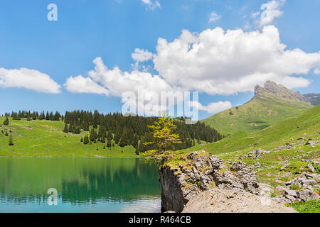 Le bannalpsee shore Banque D'Images