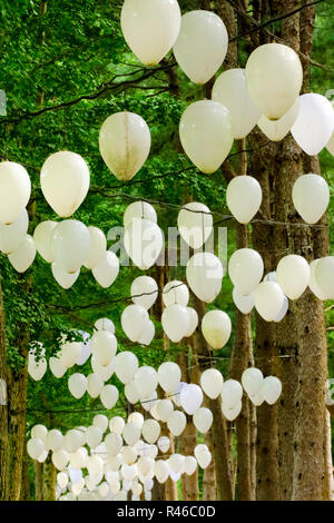 Suspendu à des ballons arbre dans l'Île de Nami (Namisum) Chuncheon, Corée du Sud , Banque D'Images