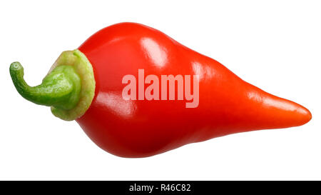 Chupetinho ou Biquinho de piment (Capsicum chinense), pod frais mûrs Banque D'Images