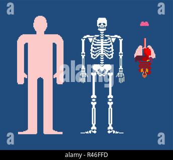 L'anatomie humaine art pixel 8 bits en organes internes et de skeleton. Pixélisation 16bit. Le vieux jeu style graphique informatique Illustration de Vecteur