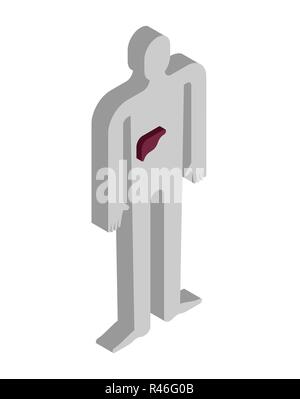 Anatomie d isométrique du foie humain. Les organes internes du corps des systèmes d'organes de la 3D. Illustration de Vecteur