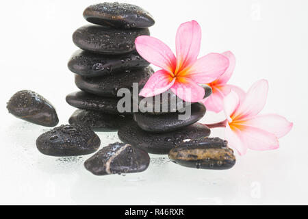 Plumeria fleurs et pierres noires sur fond blanc Banque D'Images