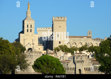 Cathédrale d'Avignon, Notre Dame des Doms, Église et tour médiévale, Tour de la Campagne, Palais des Papes, le Palais des Papes, ou Palais des Papes Avignon Banque D'Images