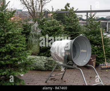 Les arbres de Noël dans des pots à vendre Banque D'Images