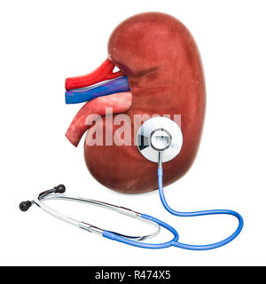 Rein humain avec stéthoscope. Le diagnostic et le traitement des reins concept, rendu 3D Banque D'Images