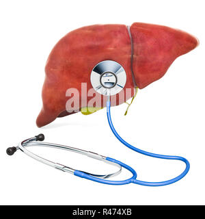 Le foie humain avec stéthoscope. Le diagnostic et le traitement de la notion du foie, rendu 3D Banque D'Images
