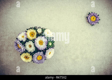 Bouquet d'asters sur fond de béton, style rétro. Banque D'Images