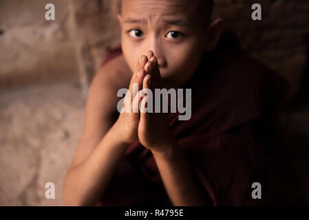 Les moines novices bouddhistes priant Banque D'Images