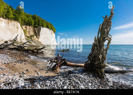 Côte de la mer Baltique sur l'île de rÃ¼gen Banque D'Images