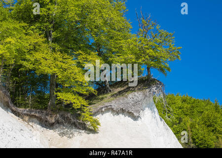 Côte de la mer Baltique sur l'île de rÃ¼gen Banque D'Images