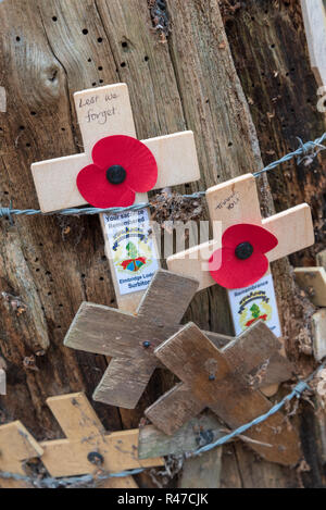 Croix du Souvenir attaché à sablé shell original souche d'arbre en bois du sanctuaire, Ypres Banque D'Images