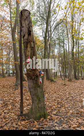 Croix du Souvenir attaché à sablé shell original souche d'arbre en bois du sanctuaire, Ypres Banque D'Images