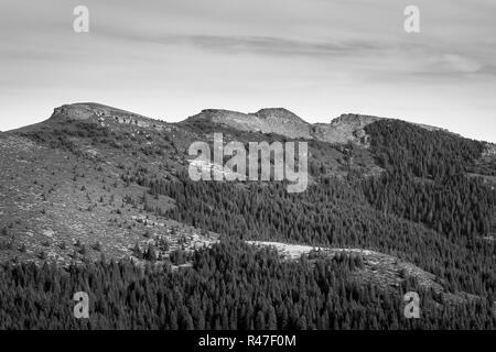 Noir et blanc artistique des trois collines vue du sommet sur la vieille montagne en Serbie et pinède Banque D'Images