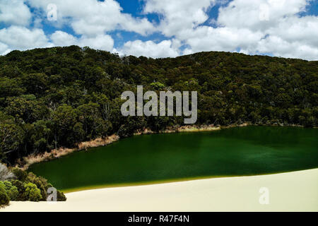 Lake Wabby sur Fraser Island Banque D'Images