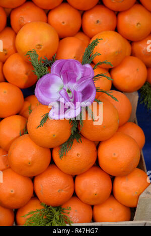 oranges Banque D'Images