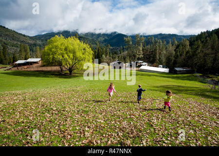 Enfants courir dans les pâturages, Bar 717 Ranch, Californie du Nord Banque D'Images