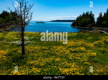 Blacks Harbour, au Nouveau-Brunswick, Canada Banque D'Images