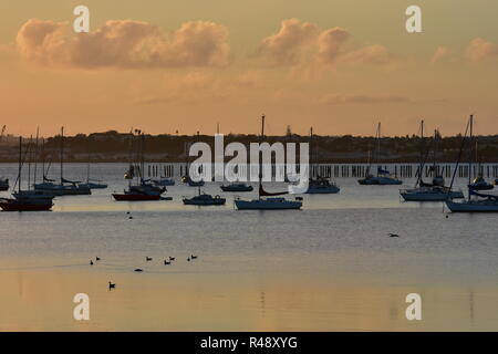 Voiliers sur les ancrages dans Okahu Bay à Auckland pendant le coucher du soleil sur la journée calme. Banque D'Images