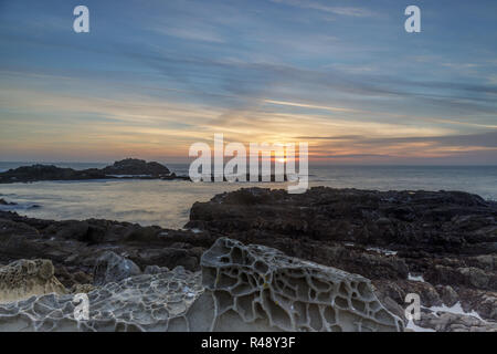 Tafoni rock formations in Bean Hollow State Beach. Banque D'Images