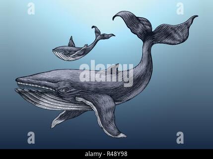 Big Whale et Little Whale dessin gravure illustration vintage Illustration de Vecteur