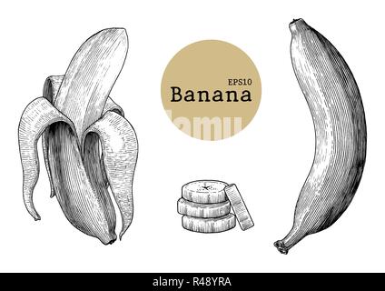Collections de banane dessin gravure illustration vintage Illustration de Vecteur