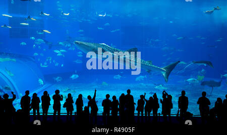 Aquarium au Japon Banque D'Images