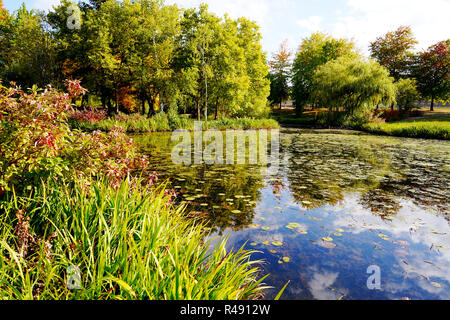 Un vieux bassin au milieu d'un parc luxuriant avec des arbres et arbustes se reflète dans l'eau avec des nénuphars en miroir d'un ciel nuageux bleu - une gre Banque D'Images