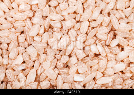 Rouge à grain moyen Matta (Devzira) riz close up Banque D'Images