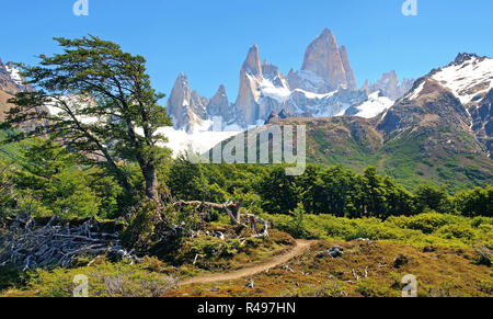 Beau paysage avec Mt Fitz Roy dans le Parc National Los Glaciares, Patagonie, Argentine, Amérique du Sud Banque D'Images