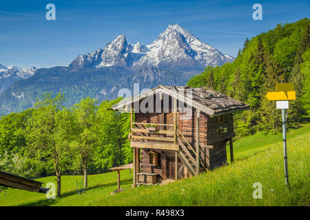 Belle vue sur le paysage de montagne idyllique dans les Alpes avec chalet de montagne traditionnel et des pâturages de montagne verte avec des fleurs sur un s Banque D'Images