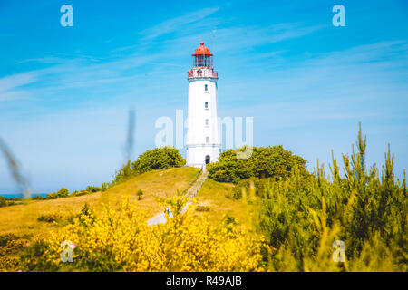 Gamous Dornbusch Phare sur la magnifique île de Hiddensee, avec des fleurs en été, de la mer Baltique, Mecklenburg-Vorpommern, Allemagne Banque D'Images