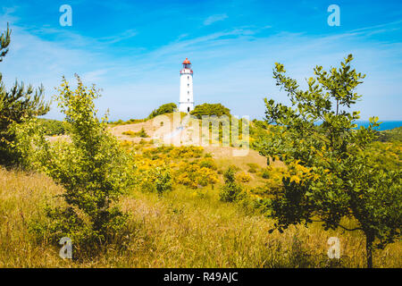 Gamous Dornbusch Phare sur la magnifique île de Hiddensee, avec des fleurs en été, de la mer Baltique, Mecklenburg-Vorpommern, Allemagne Banque D'Images