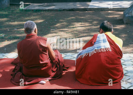 Les moines bouddhistes, lecture des livres religieux, Bodh Gaya, Bihar, Inde, Asie Banque D'Images