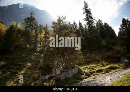 Grindelwald, Berne, Swittzerland. 13 Oct, 2018. Le 24 septembre 2018. La région de l'Oberland bernois Suisse a de nombreux sentiers de randonnée ou vous promener dans toutes les directions à partir du hameau de montagne de Grindelwald, Suisse. Credit : Ralph Lauer/ZUMA/Alamy Fil Live News Banque D'Images