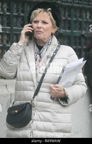 London UK. 12 décembre 2018. Anna Soubry, Europe Remainer et député conservateur de Broxtowe dans College Green en tant que premier ministre Theresa peuvent faire face à un vote de censure présentées par les membres de son parti conservateur au président de la Commission 1922 Sir Graham Brady. Anna Soubry a été hué et reçu par Pro-Brexit abus gilet jaune Crédit : manifestants amer ghazzal/Alamy Live News Banque D'Images