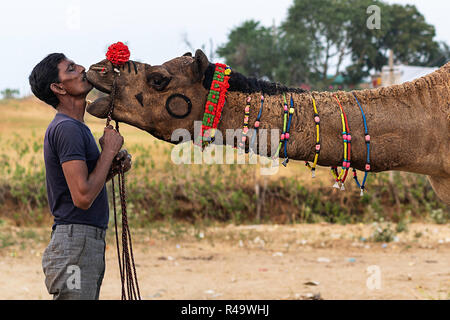 La ville d'Ajmer, Rajasthan, Inde. 8 juillet, 2018. Un homme vu embrasser son chameau pendant le chameau juste.Tenue chaque année en novembre au moment de la pleine lune de Kartik Purnima, Pushkar Camel Fair est une des plus expériences de voyages, un spectacle sur une échelle épique, attirant des milliers de chameaux et visité par des milliers de personnes au cours d'une période d'environ 14 jours. Credit : Enzo Tomasiello SOPA/Images/ZUMA/Alamy Fil Live News Banque D'Images