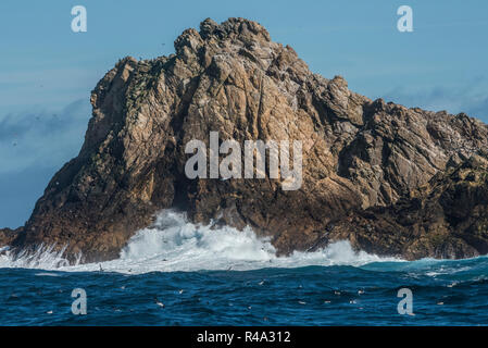 Une île rocheuse provient de l'océan Pacifique, cela fait partie de l'îles Farallon, en Californie. Banque D'Images